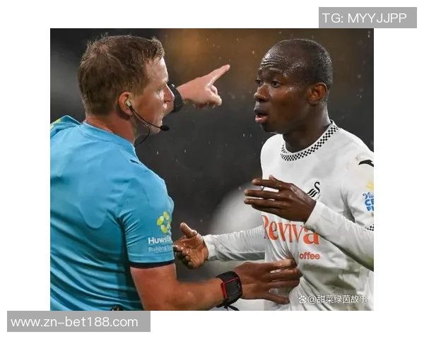 斯旺西队在英冠排名第18考虑解雇主教练艾伦希恩以寻求改变